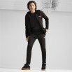 PUMA M EVOSTRIPE Full-Zip Hoodie DK (681700-01) ΖΑΚΕΤΑ