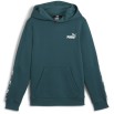 PUMA JR ESS+ Tape Hoodie FL B (848818-08) ΦΟΥΤΕΡ ΠΑΙΔΙΚΟ